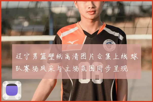 辽宁男篮壁纸高清图片合集上线 球队赛场风采与主场氛围同步呈现