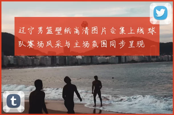 辽宁男篮壁纸高清图片合集上线 球队赛场风采与主场氛围同步呈现